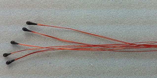 中出人妻中文字幕无码