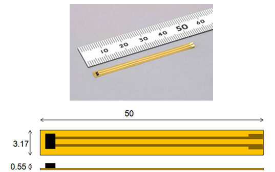 中出人妻中文字幕无码