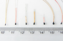 中出人妻中文字幕无码